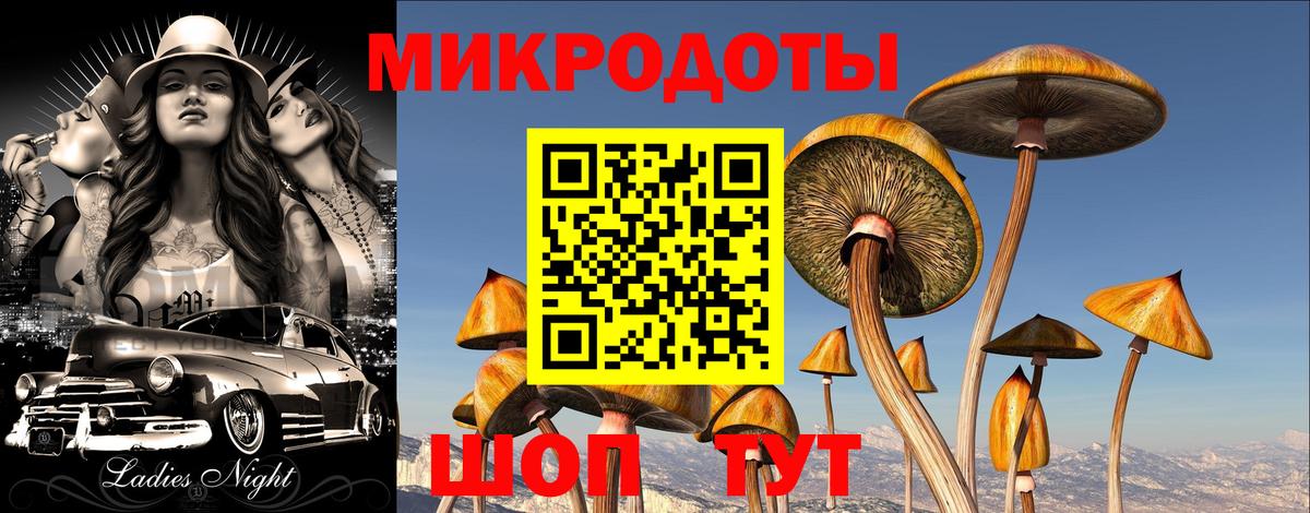 Псилоцибиновые грибы ЛСД Лесной